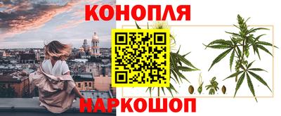прущие грибы Коммунар