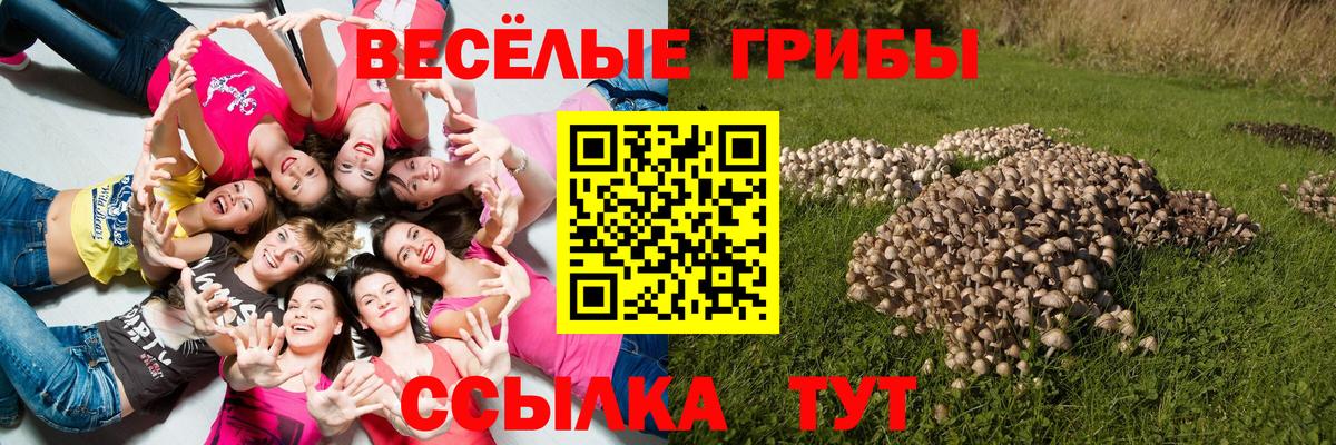 Псилоцибиновые грибы ЛСД  Вход с VPN  Псилоцибиновые грибы прущие грибы  Саранск 
