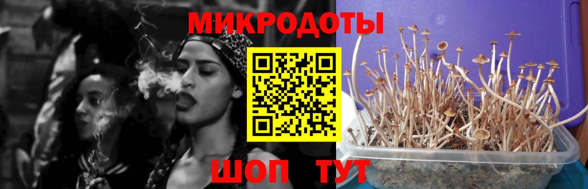 Псилоцибиновые грибы Magic Shrooms Саранск